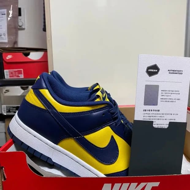나이키 덩크 로우 레트로 바시티 메이즈 290