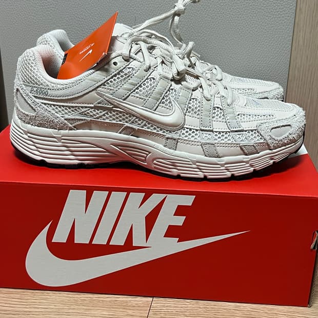 나이키 P6000 SE 275 신발