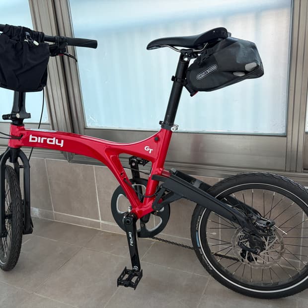 버디 GT 레드 판매