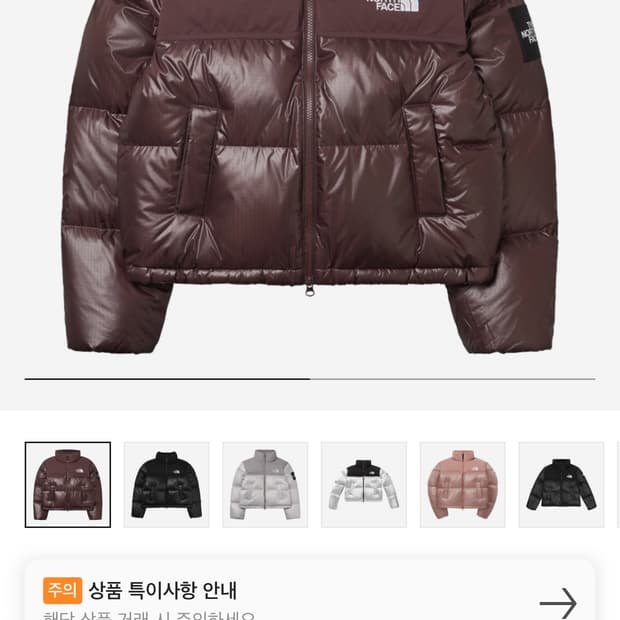 노스페이스 눕시 코코아 브라운 패딩