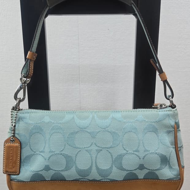 코치 레어 컬러 코치 코치 액세서리 파우치 라이트 블루 Y2K 보트형