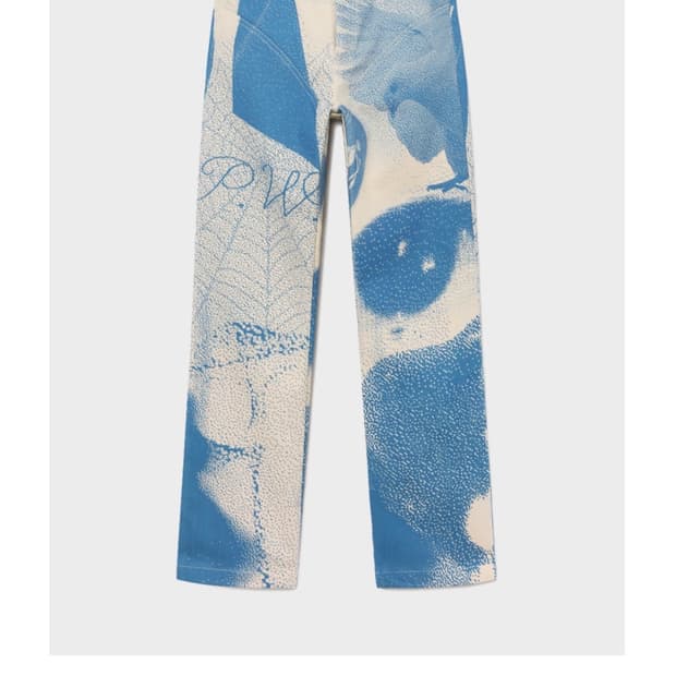 Palomawool visonaire pants