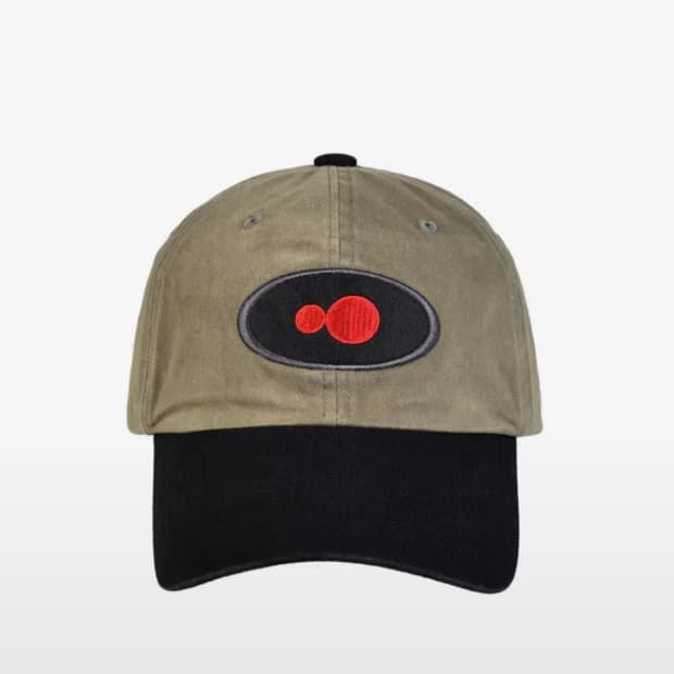 AEAE 에이이에이이 WEB LOGO LEOPARD CAP 로고 레오파드 볼캡 모자 | 후루츠패밀리