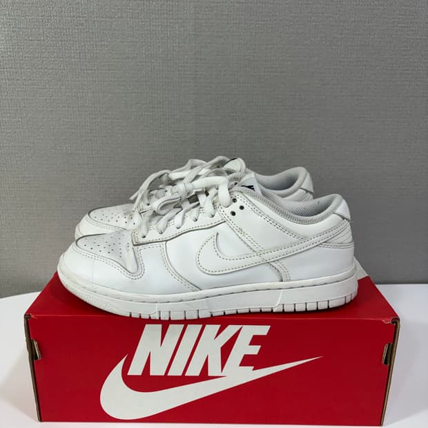 나이키 덩크로우 화이트 235