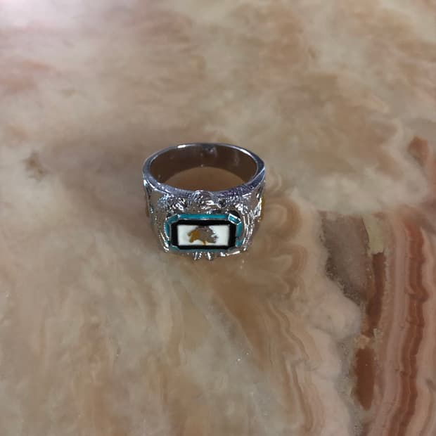     turquoise horse ring