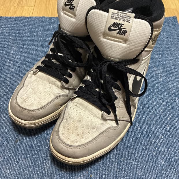 Nike 에어조던1하이 고어택스