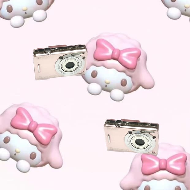 Sony Cyber-shot DSC-W55 디카 캠코더