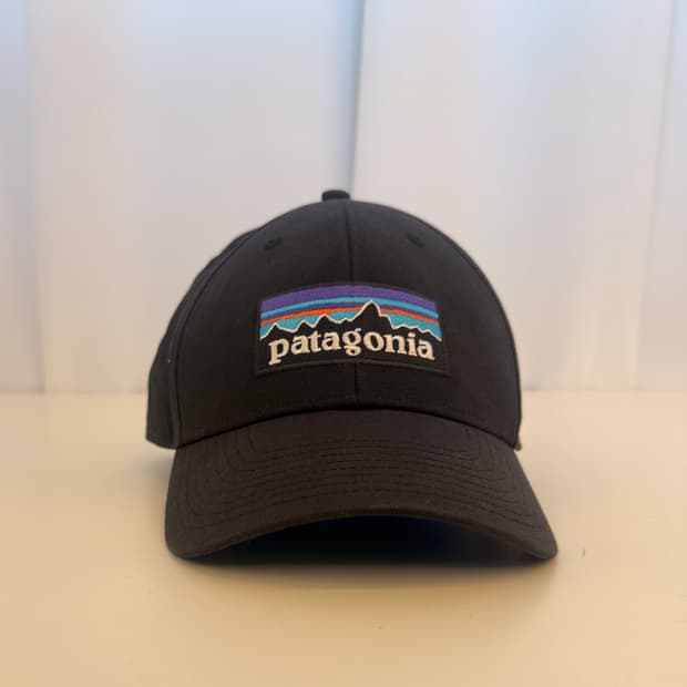  파타고니아(Patagonia)의 P-6 로고 트러커 햇