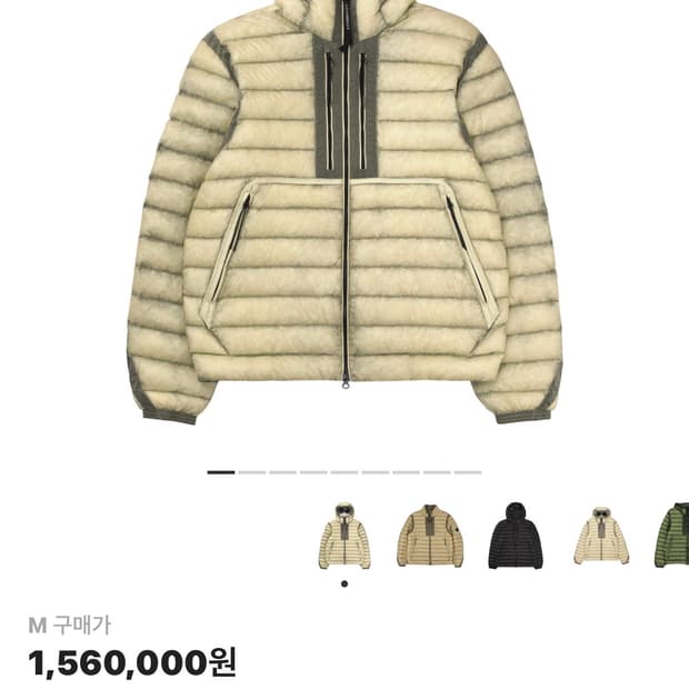 CP 컴퍼니 DD쉘 고글 다운 자켓 피스타치오 쉘 베이지 L