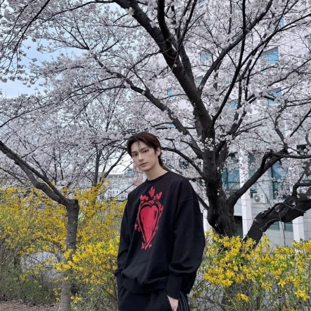 정품 L) 알렉산더 맥퀸 하트 오버핏 맨투맨 