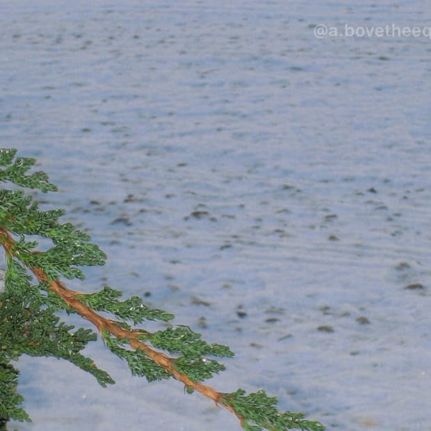 캐논코리아 익서스ixus 70 ixy 10 빈티지 디지털 카메라