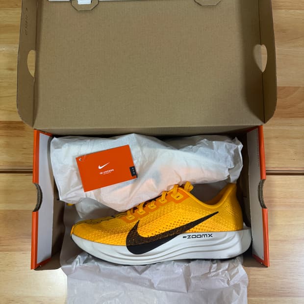 [265] 나이키 페가수스 플러스 유니버시티 골드