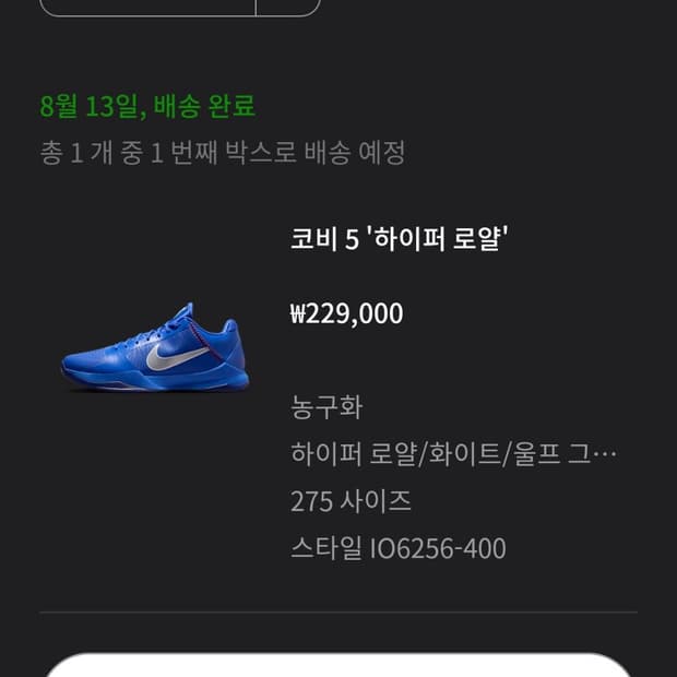 나이키 코비 5 프로트로 하이퍼 로얄