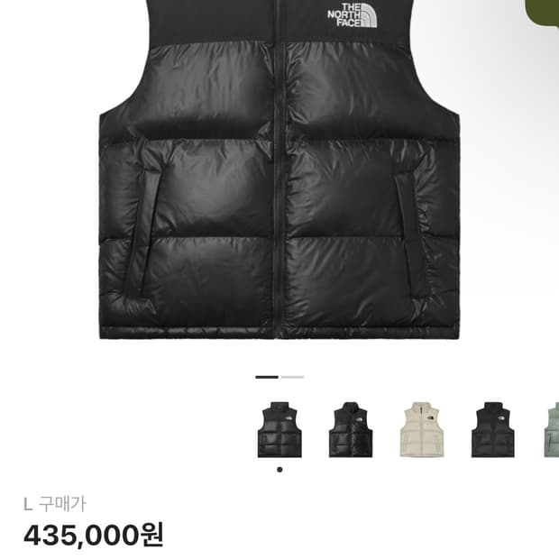 노스페이스 패딩