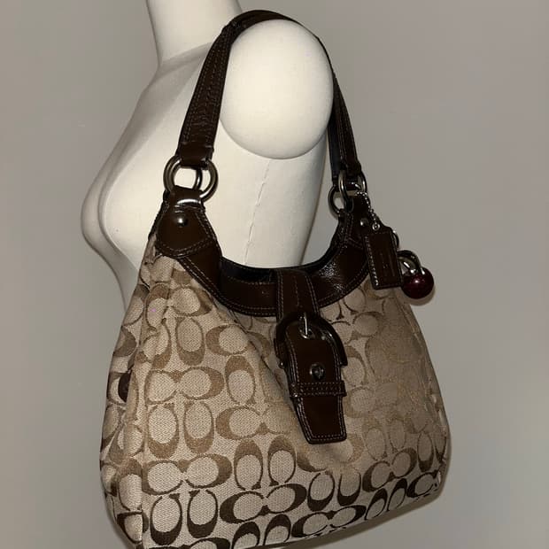 🎉BLACK FRIDAY🎉 Coach brown bag