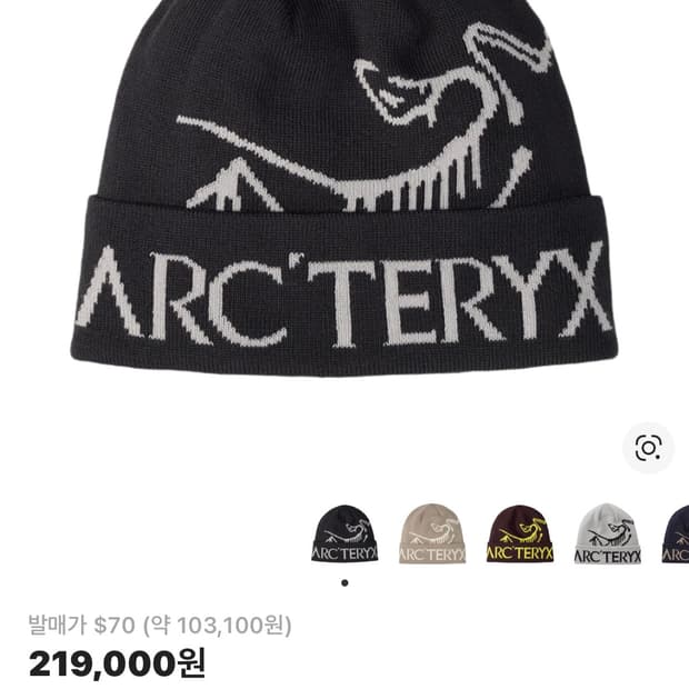 정품 아크테릭스 비니