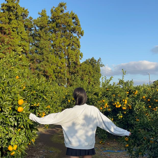 리본빛 테리 스윗셔츠