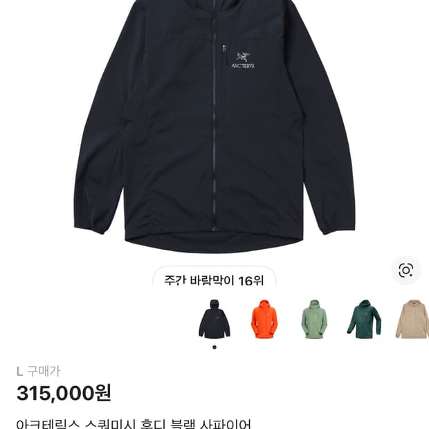 아크테릭스 스쿼미시 후디 블랙 사파이어