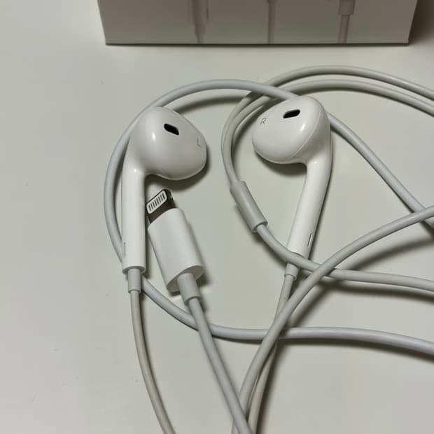 애플 이어팟 라이트닝(8핀)