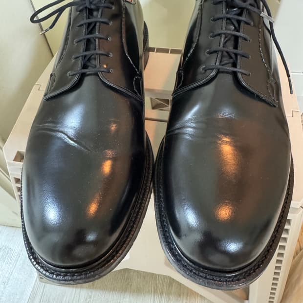 처치스 섀넌 10G Church Shannon