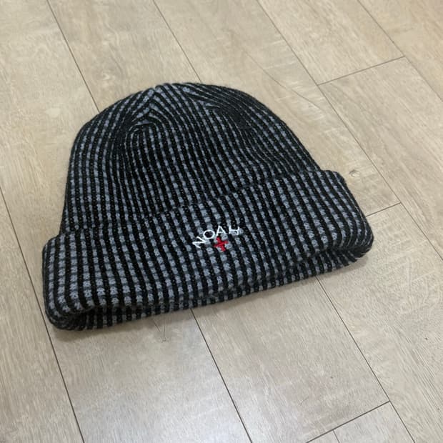 노아 비니