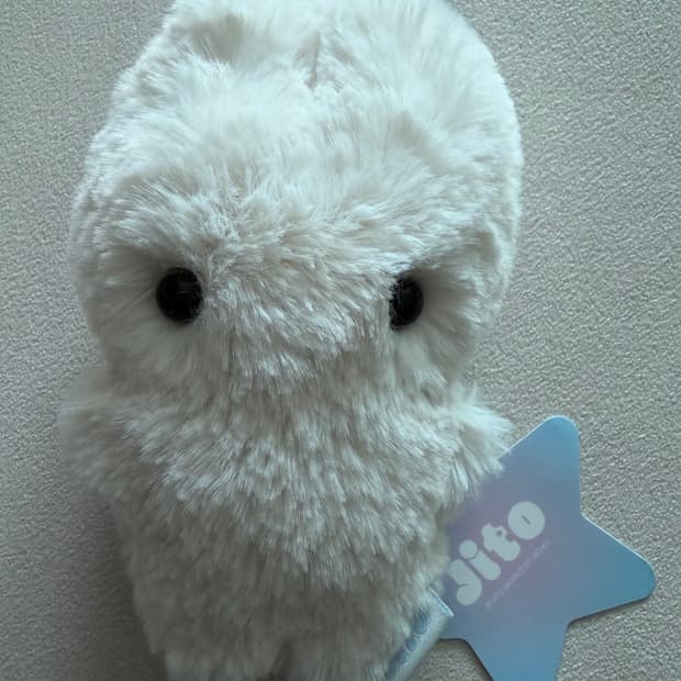 지초이 OG지토 화이트