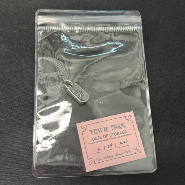 크롬하츠 타이니 스타 도그택