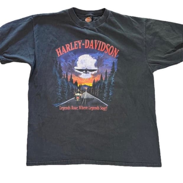 2002 빈티지 Harley Davidson 티셔츠 XL