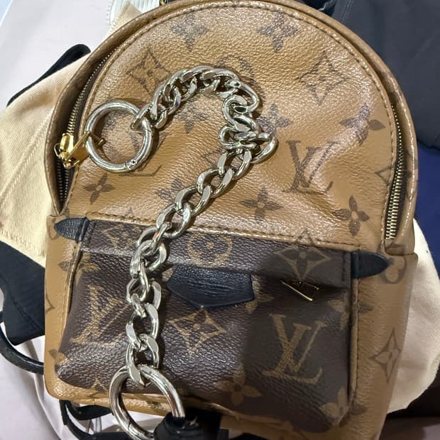 루이비통 팜스프링스 백팩 미니