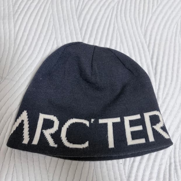 아크테릭스 비니