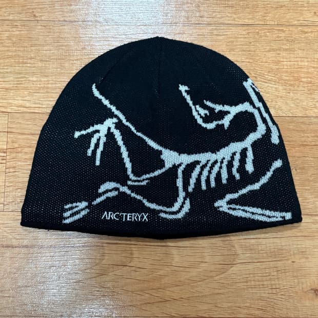 아크테릭스 비니