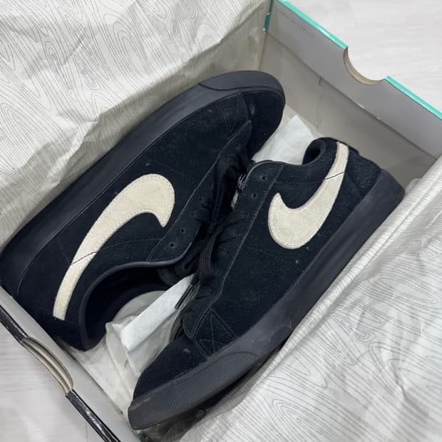 나이키SB 블레이져 줌 로우GT