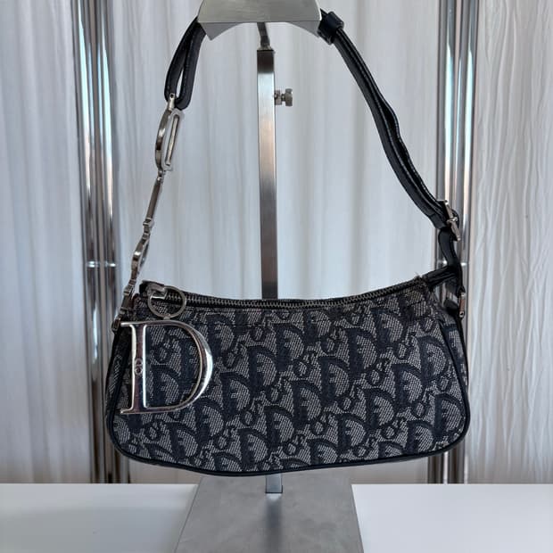 디올 디링 오블리크 숄더백