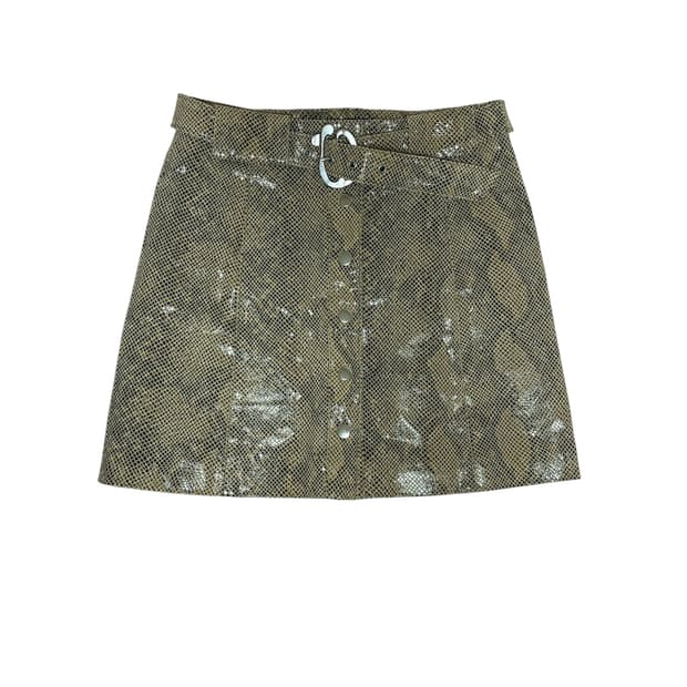 Zara Snake Print Skirt