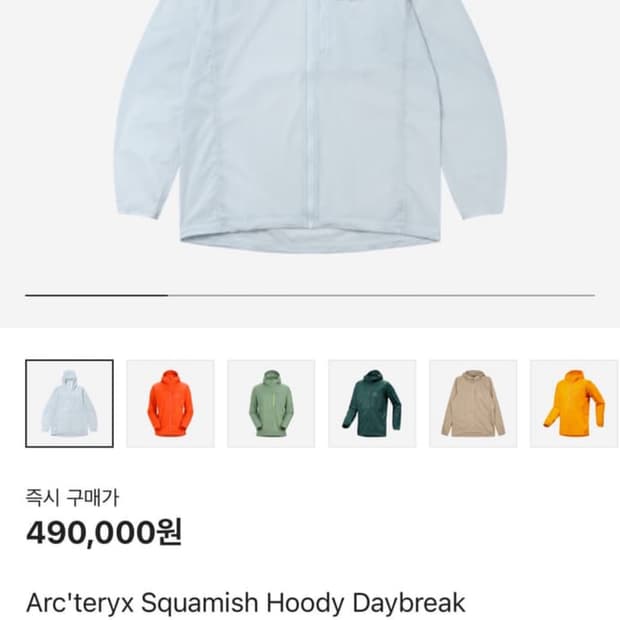 아크테릭스 스쿼미시 후디 데이브레이크