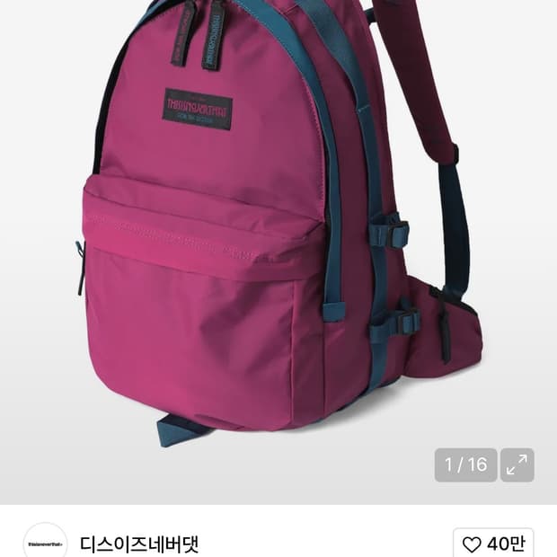 디스이즈네버댓 백팩