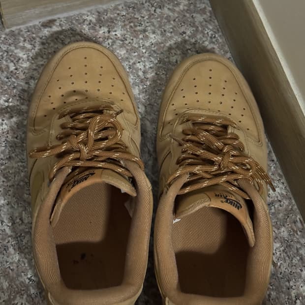 나이키 된장포스 270