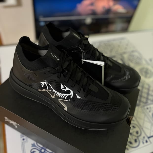 아크테릭스 실란 프로 M 트레일 러닝화 블랙 색상 295