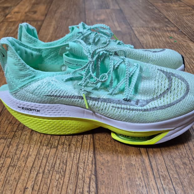 나이키 알파플라이 네스트2