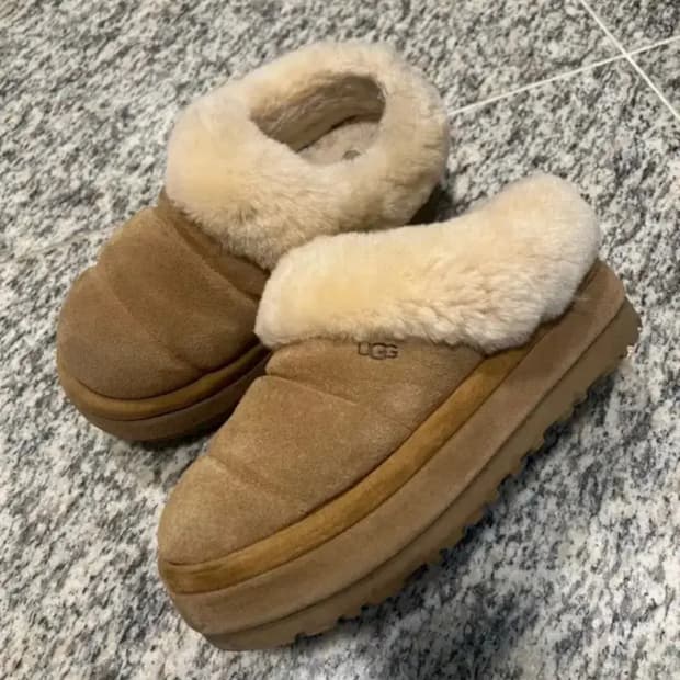 UGG 어그 타즐리타 체스트넛 240