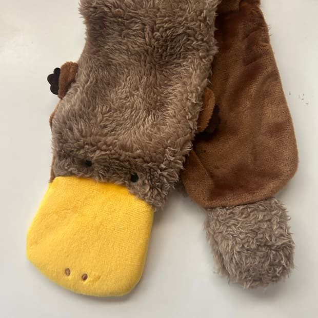 오리너구리 넥워머 