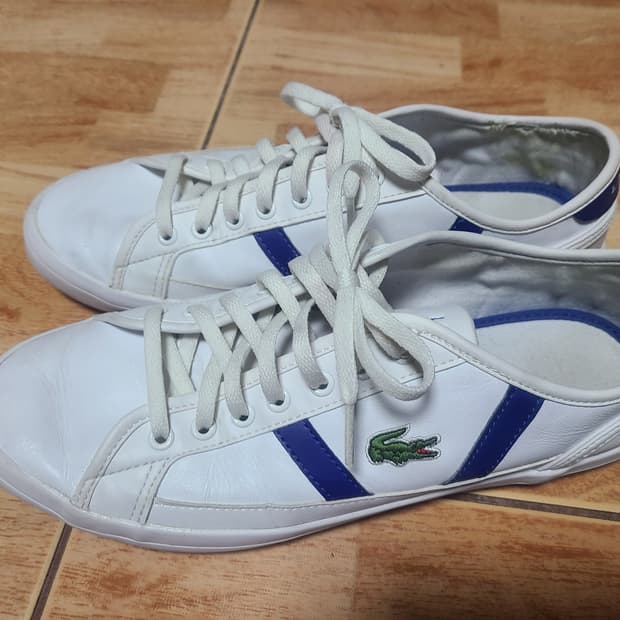 라코스테 사이드라인 270(265추천)