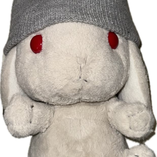 gray beanie