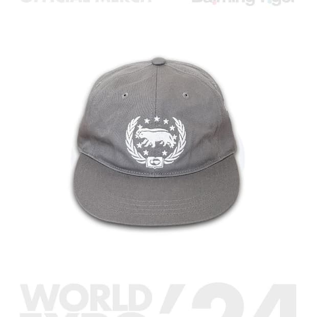 바밍타이거 월드엑스포 모자