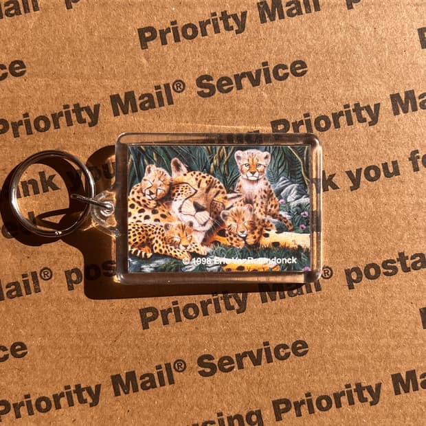 90s vtg Cheetah Family Keyring