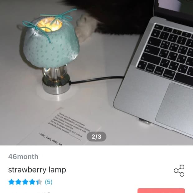 strawberry lamp 딸기조명 무드등