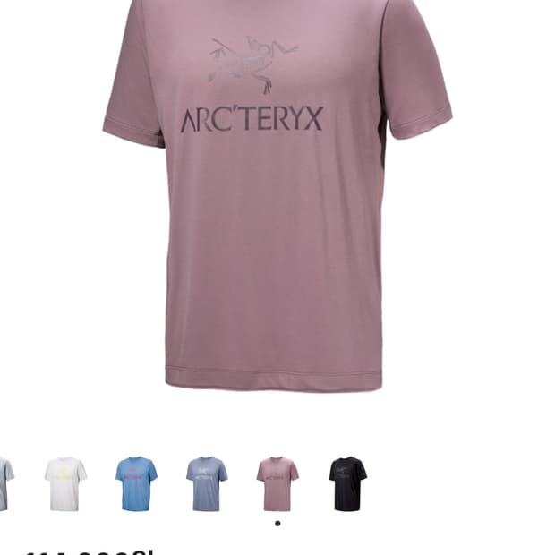 아크테릭스 아크워드 로고 SS