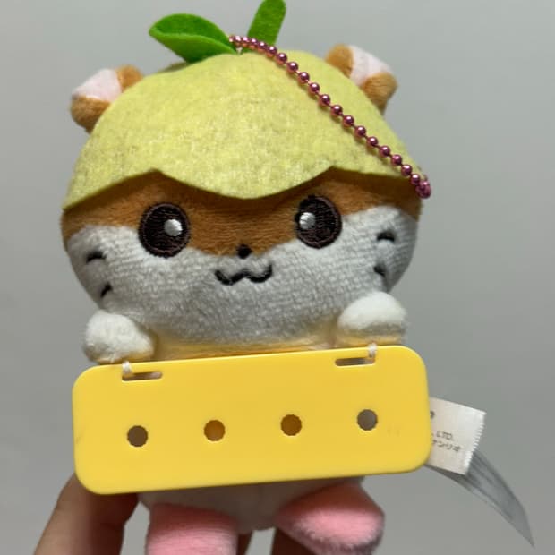 산리오 쿠리링 마이파치룬
