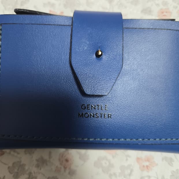 젠틀몬스터 케이스