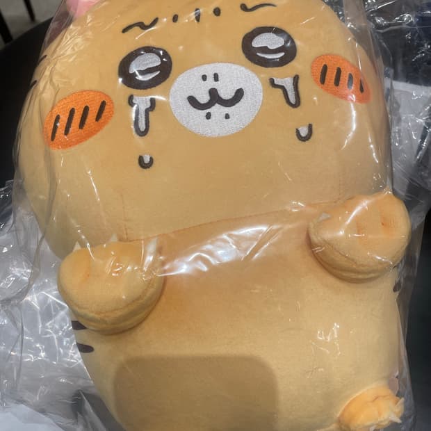 나가노 호랑이 쿠지 B상